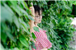 不戴奶罩的教师水卜樱在线观看