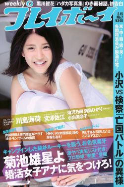 好团圆剧情介绍分集